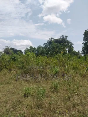 A One a Half Acre for Sale - Tiwi