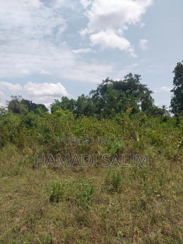 A One a Half Acre for Sale - Tiwi