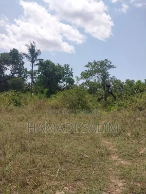 A One a Half Acre for Sale - Tiwi