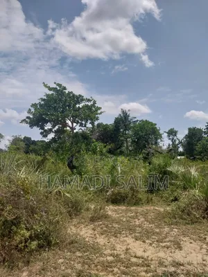 A One a Half Acre for Sale - Tiwi
