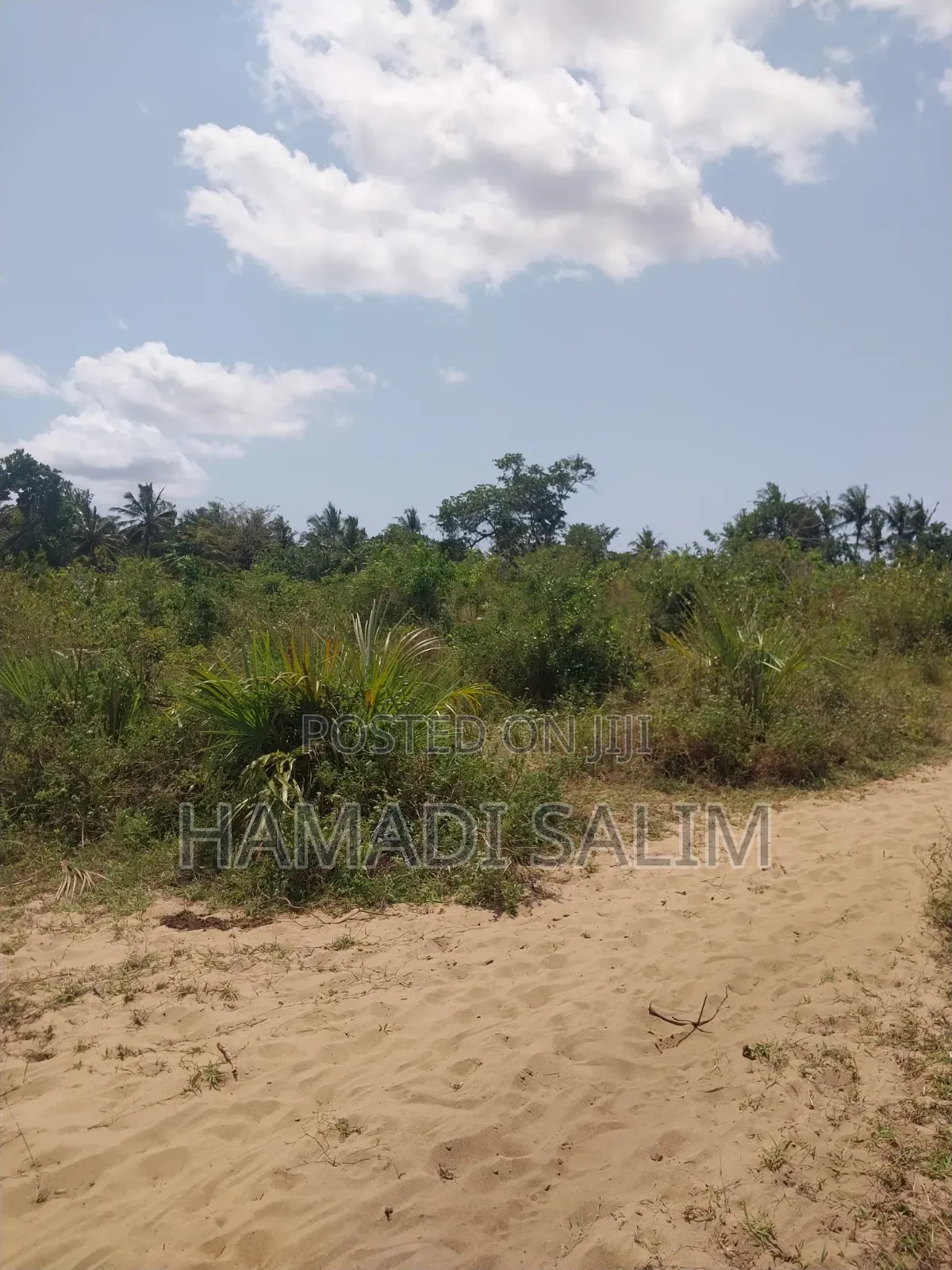 A One a Half Acre for Sale - Tiwi
