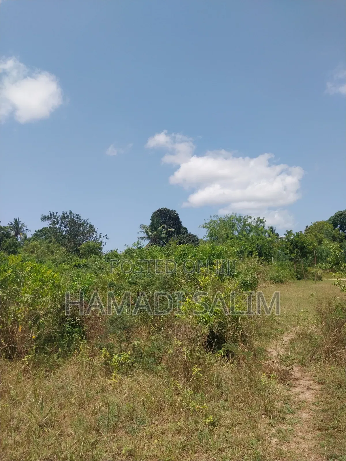 A One a Half Acre for Sale - Tiwi
