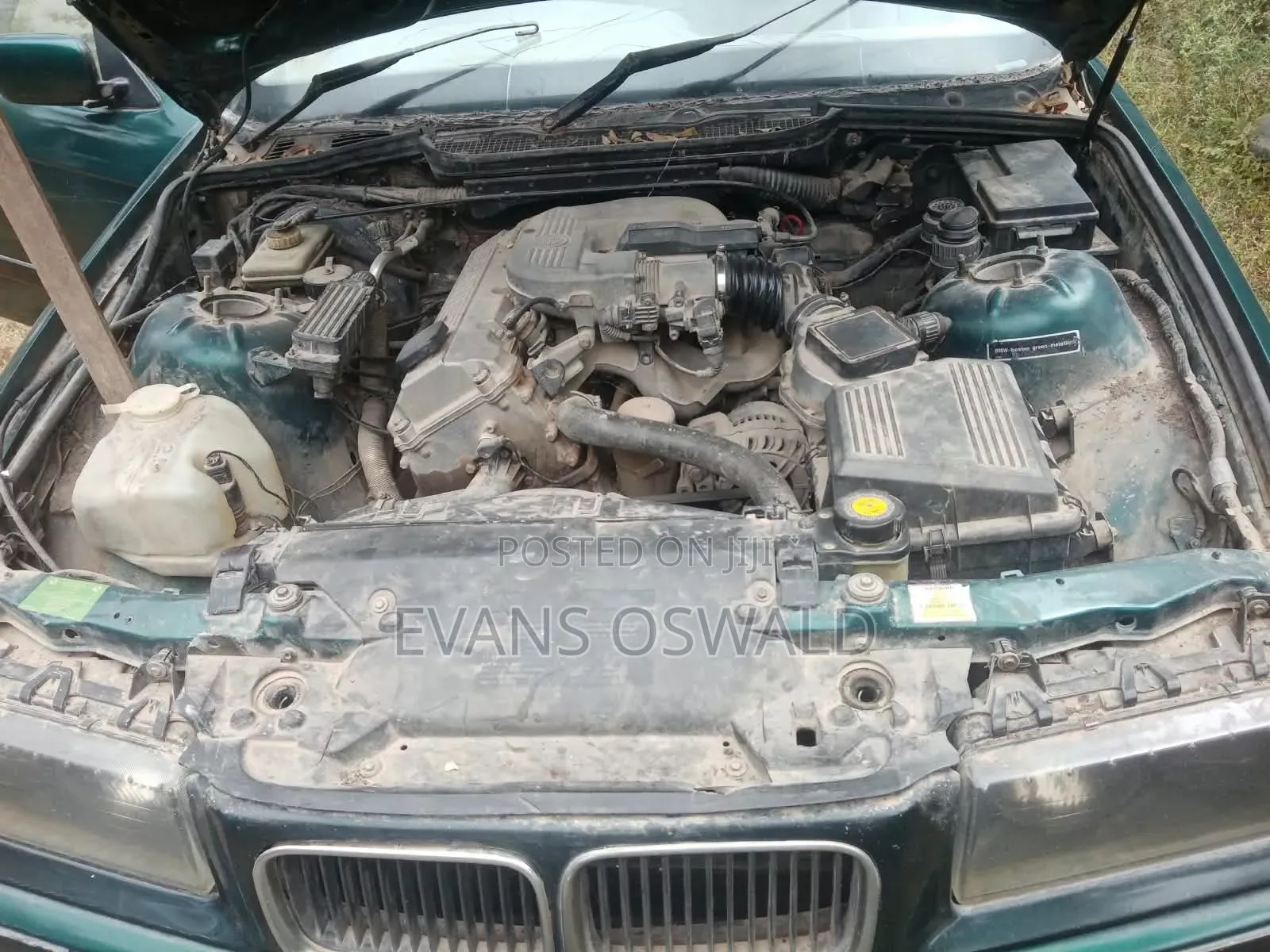 BMW 316i 2005 Green