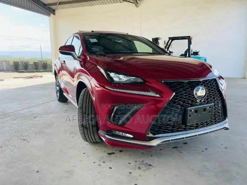 Lexus NX 2019 Red