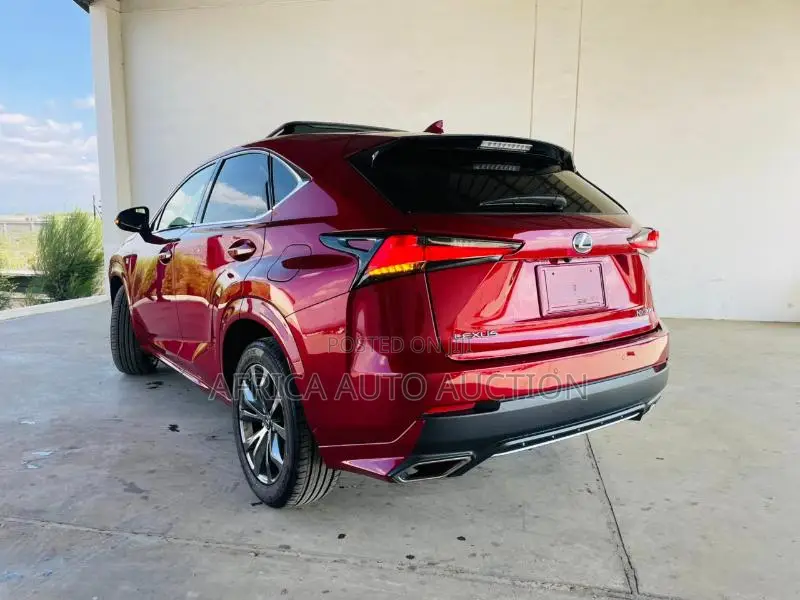 Lexus NX 2019 Red