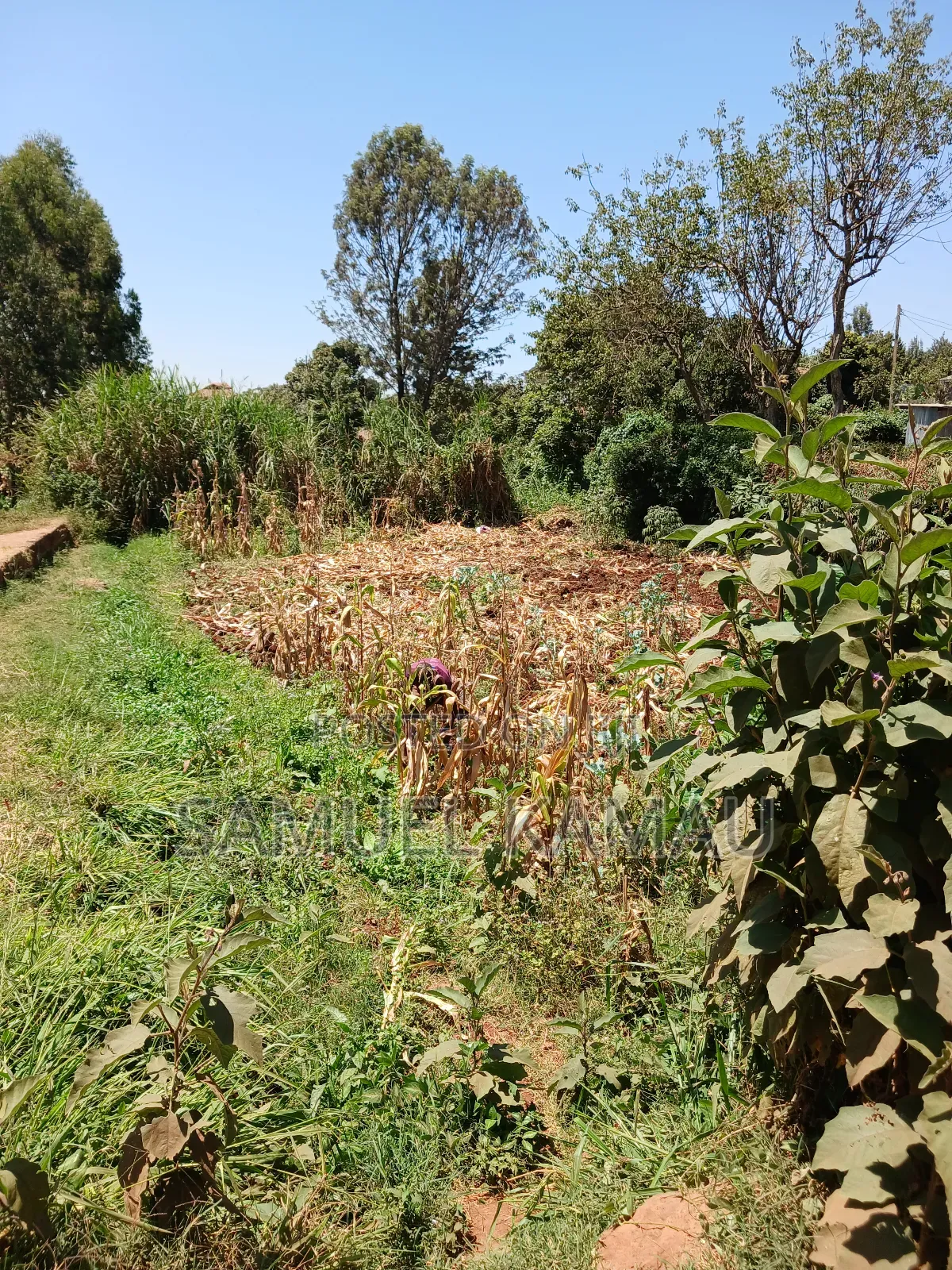 Gachie, 50×100 Feet Plot, Near Frankdalle School KSHS 3.5 Million