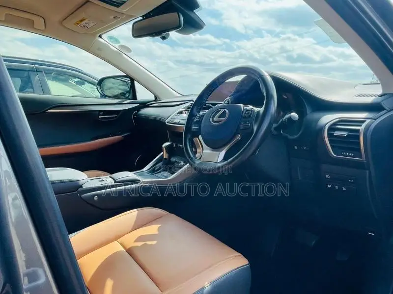 Lexus NX 2020 Gray