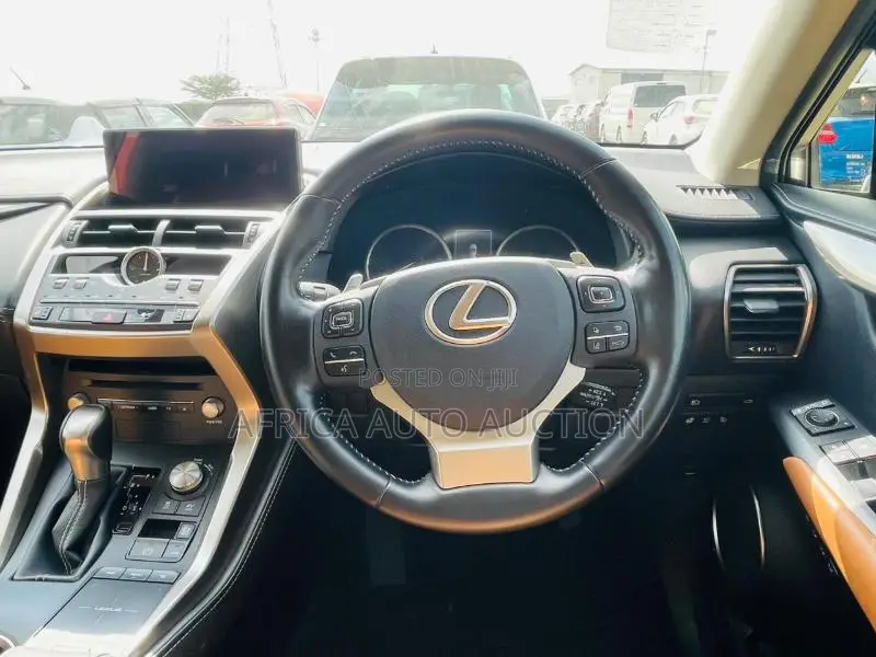 Lexus NX 2020 Gray