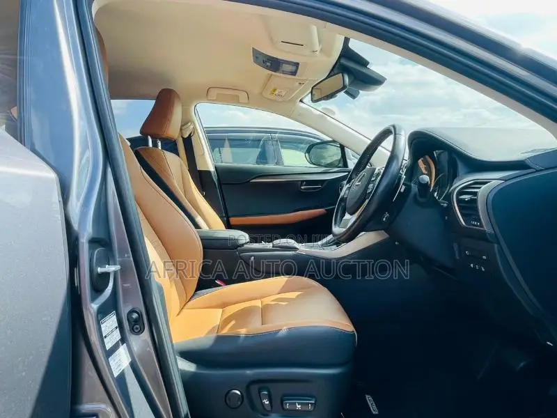 Lexus NX 2020 Gray