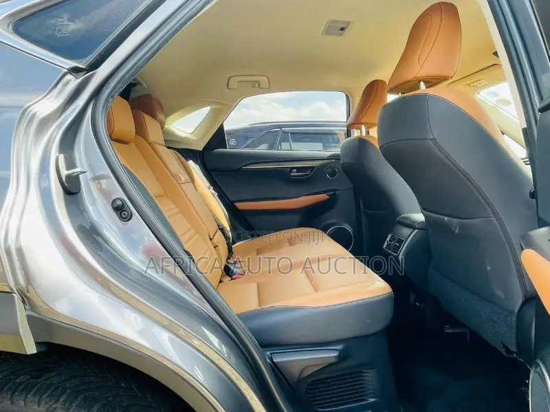 Lexus NX 2020 Gray