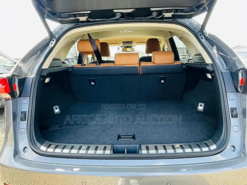 Lexus NX 2020 Gray