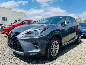 Lexus NX 2020 Gray