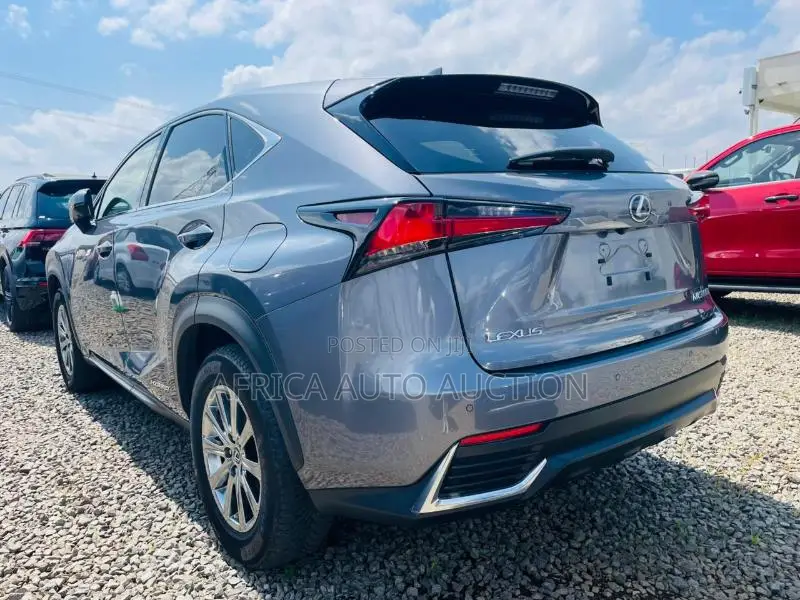 Lexus NX 2020 Gray