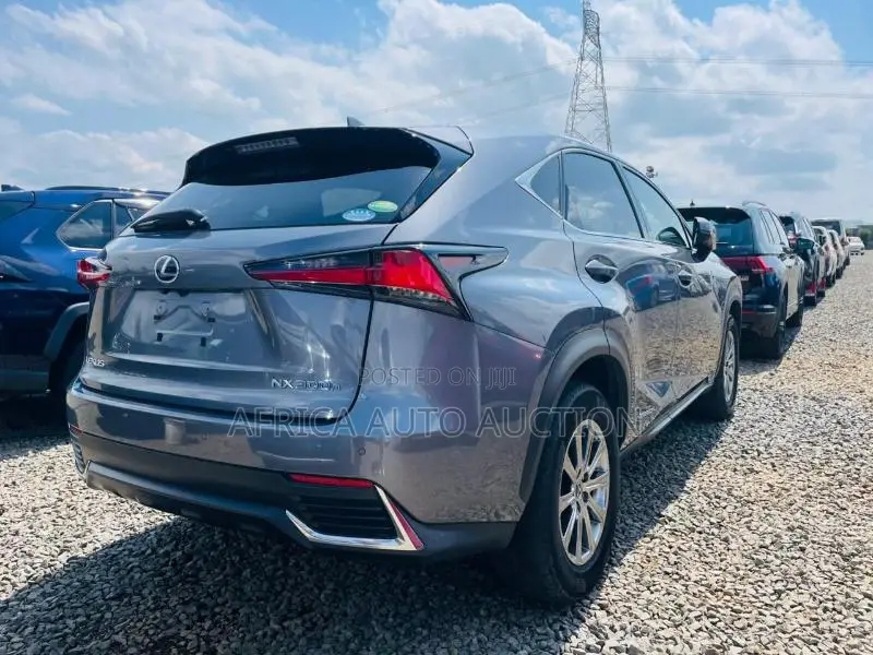 Lexus NX 2020 Gray