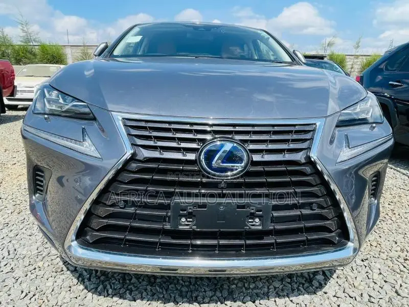 Lexus NX 2020 Gray