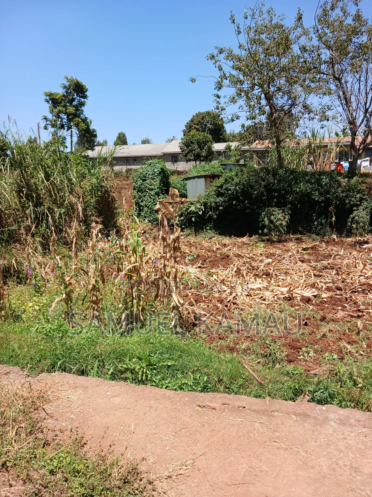 Gachie, 50×100 Feet Plot, Near Frankdalle School KSHS 3.5 Million