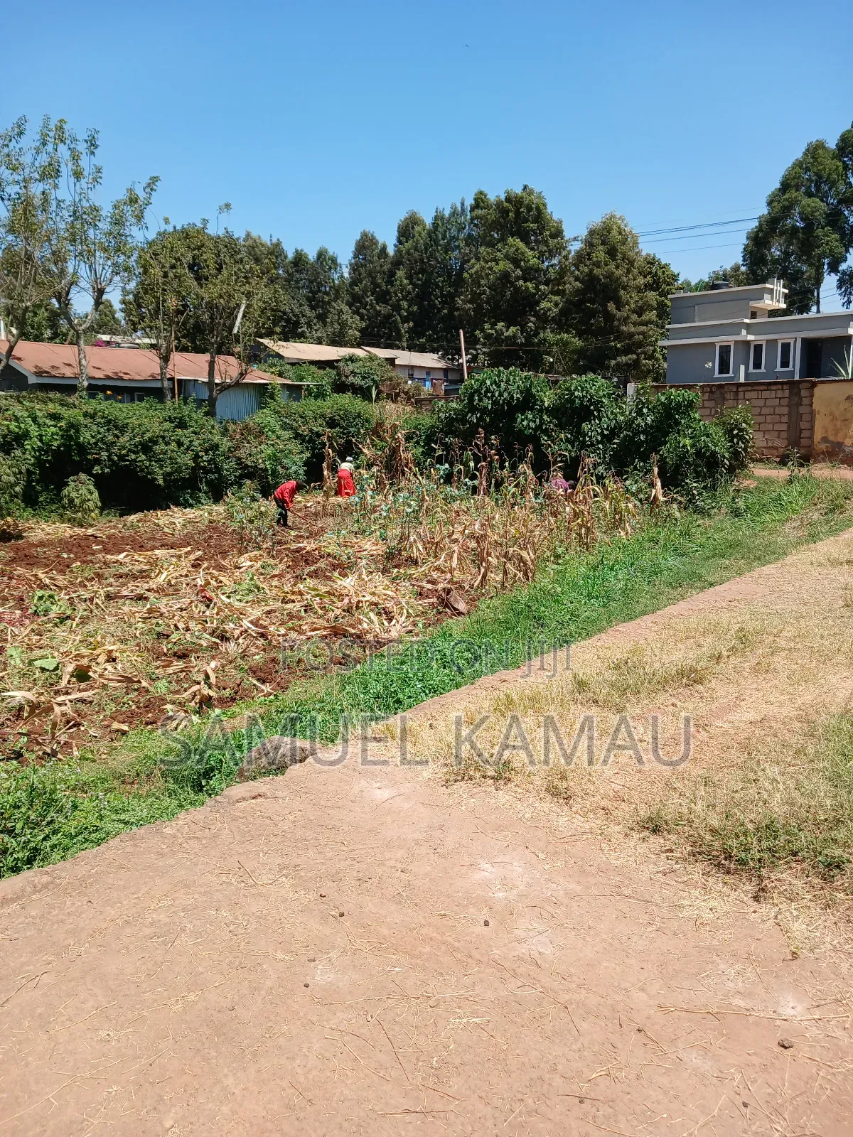 Gachie, 50×100 Feet Plot, Near Frankdalle School KSHS 3.5 Million