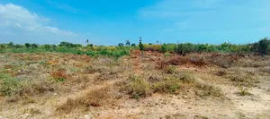 Watamu Beach Area 1/4 Acre Plots