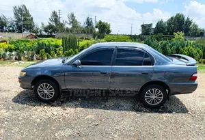 Toyota Corolla 1996 Gray