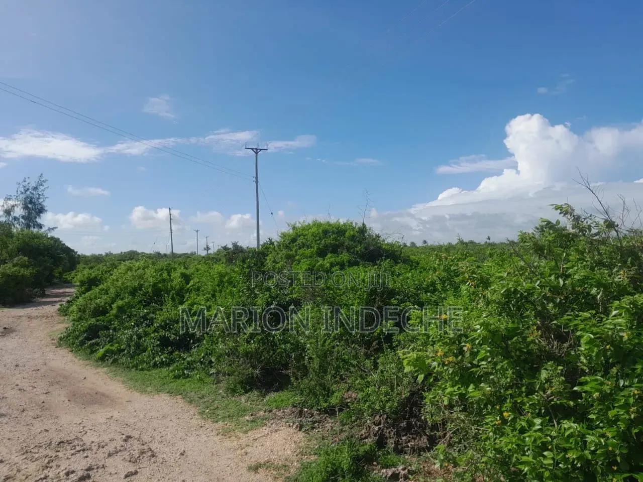 Watamu Beach Area 1/4 Acre Plots for Sale