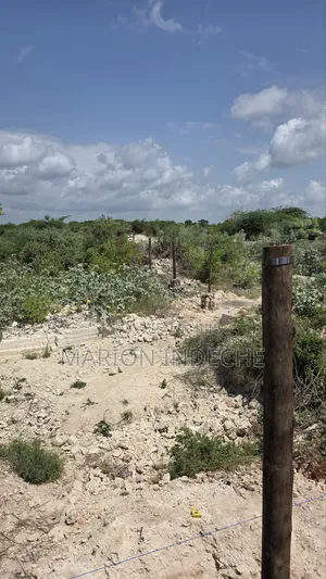 Watamu Beach Area 1/4 Acre Plots for Sale