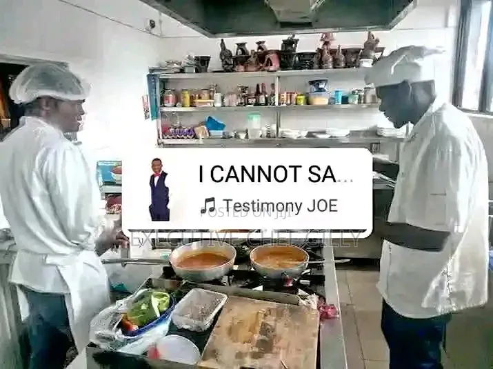 H O T E L Chef/Cook