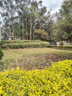 Prime 0.5 Acre Land for Sale in Garden Estate