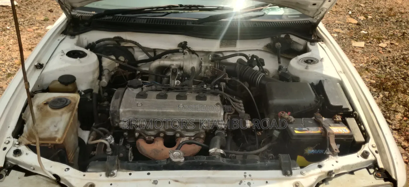 Toyota Corolla 2001 White