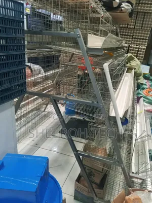 Chicken Cages/Chicken Cage