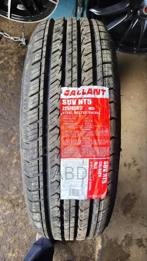 225/65r17 Gallant