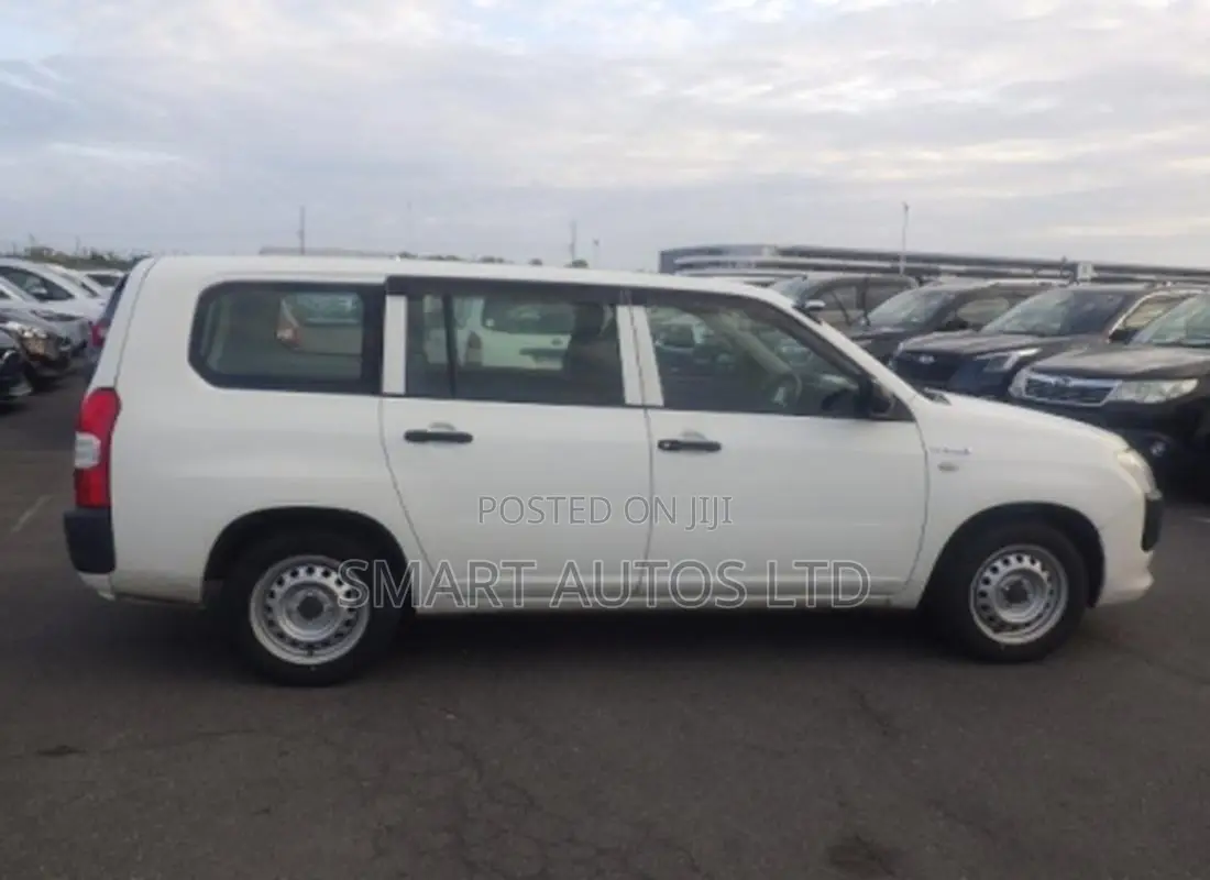 Toyota Succeed 2019 White