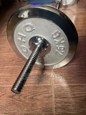 Epz Iron Curlbar