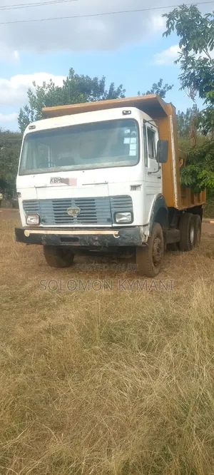 Tata Tipper