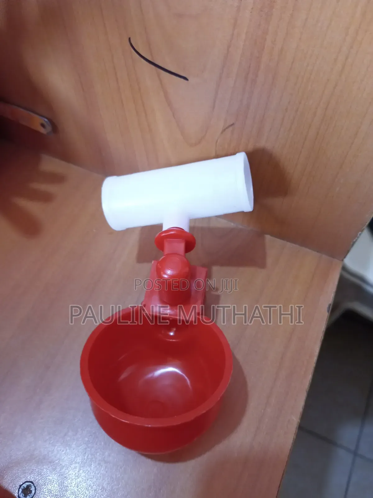 Automatic Poultry Cup Drinker