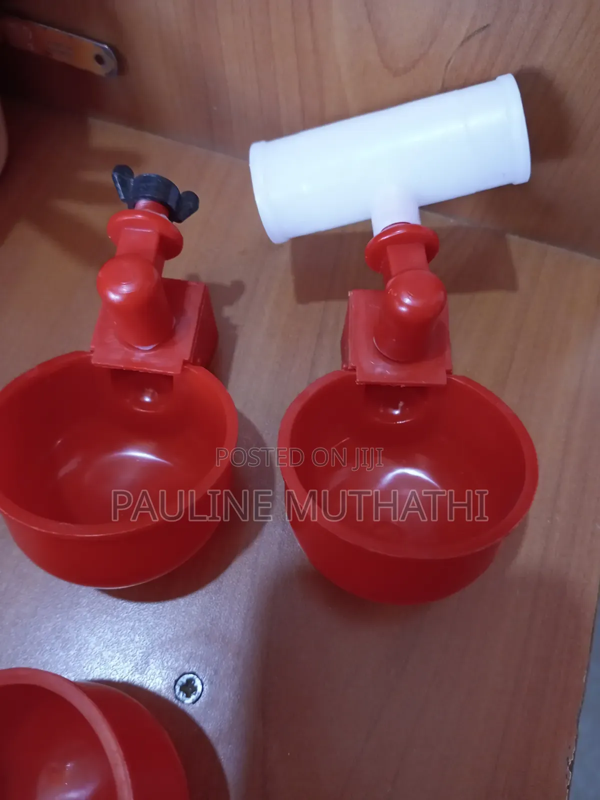 Automatic Poultry Cup Drinker