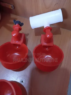 Automatic Poultry Cup Drinker