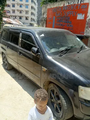 Toyota Probox 2011 Black