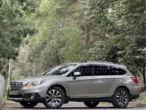 Subaru Outback 2.5i 4dr Wagon AWD (2.5L 4cyl CVT) 2015 Silver
