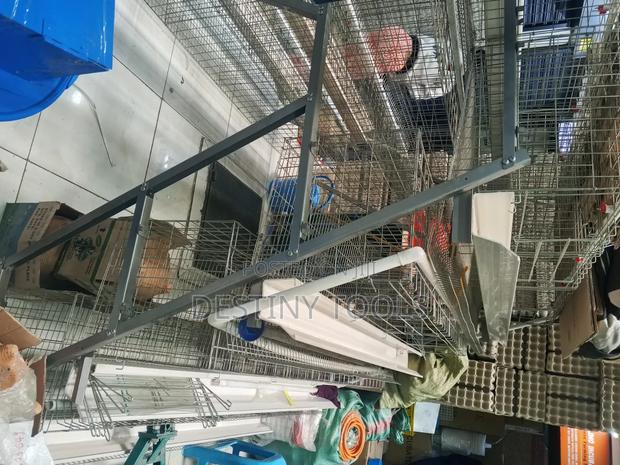 A-Type Chicken Cages