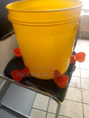 Automatic Poultry Cup Drinker