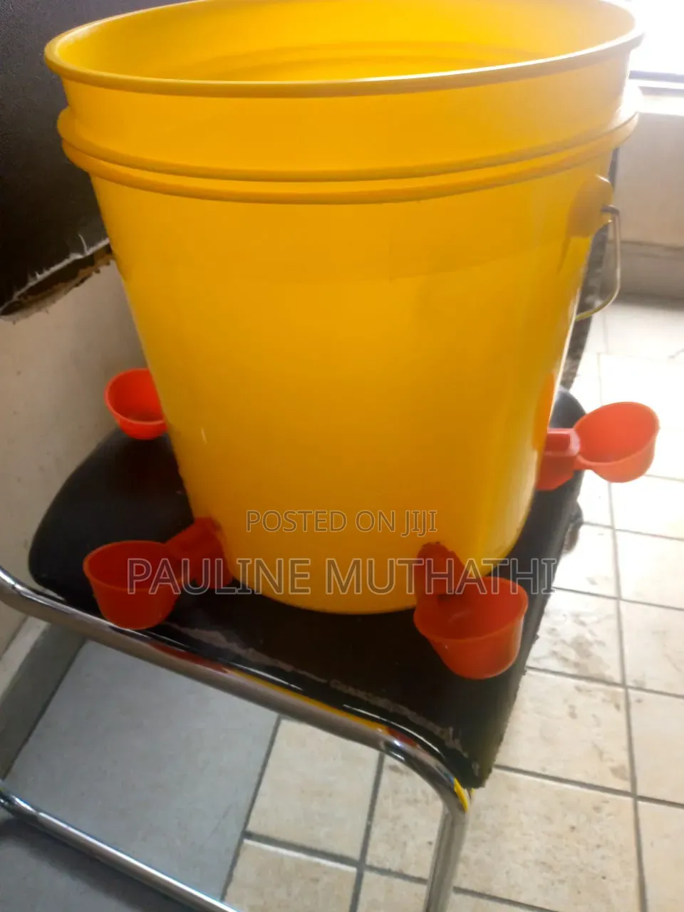 Automatic Poultry Cup Drinker