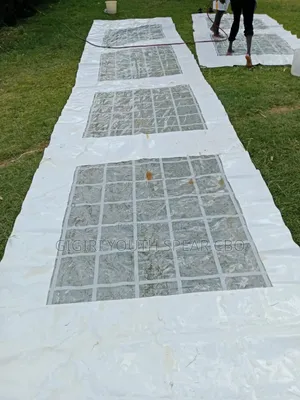 Tents and Seats