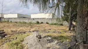 50×100 Plot for Sale in Kitengela Guango