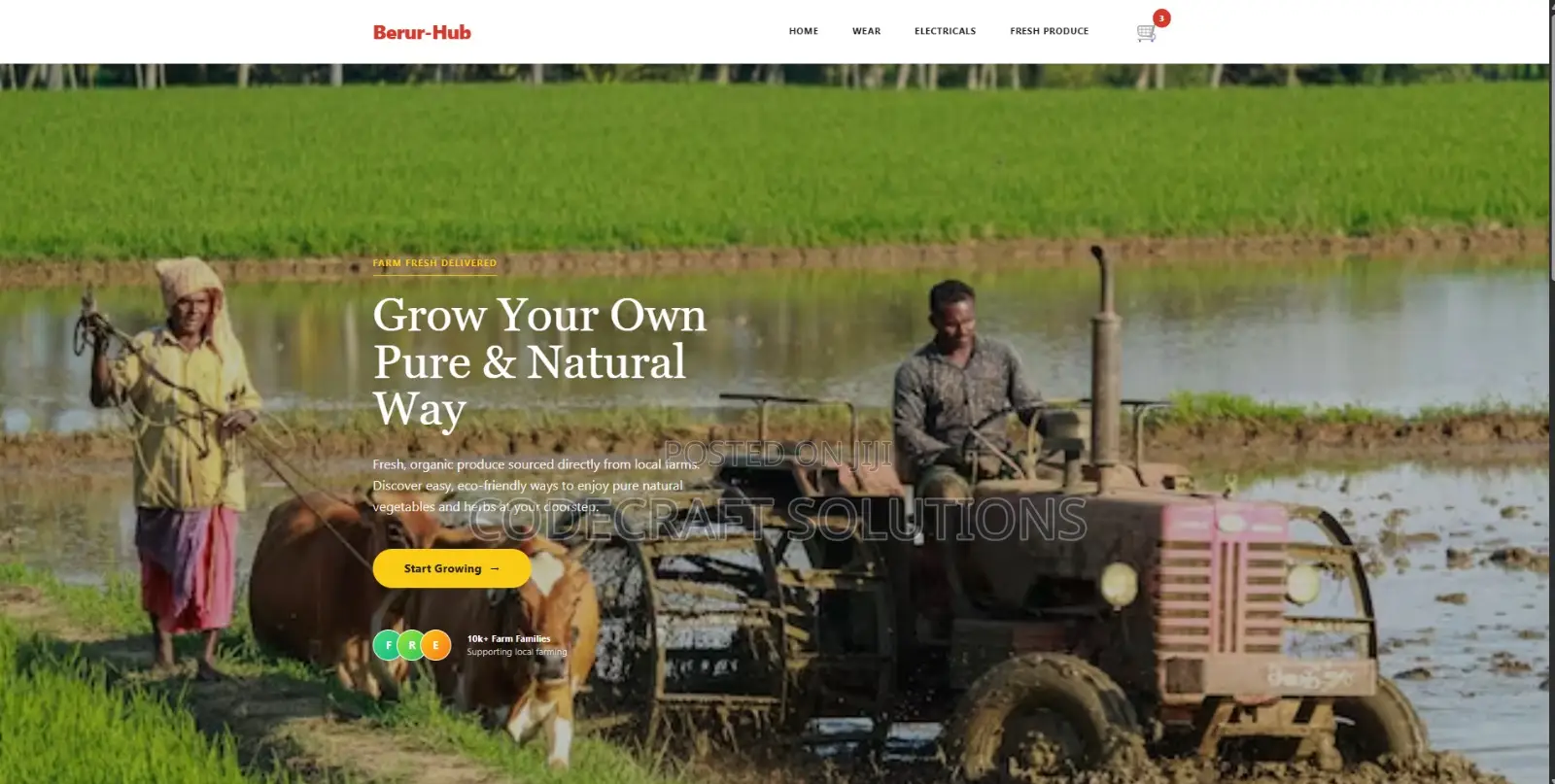 Website Development and Maintanance