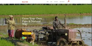 Website Development and Maintanance