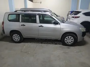 Toyota Probox 2015 Silver