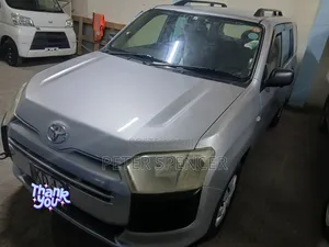 Toyota Probox 2015 Silver