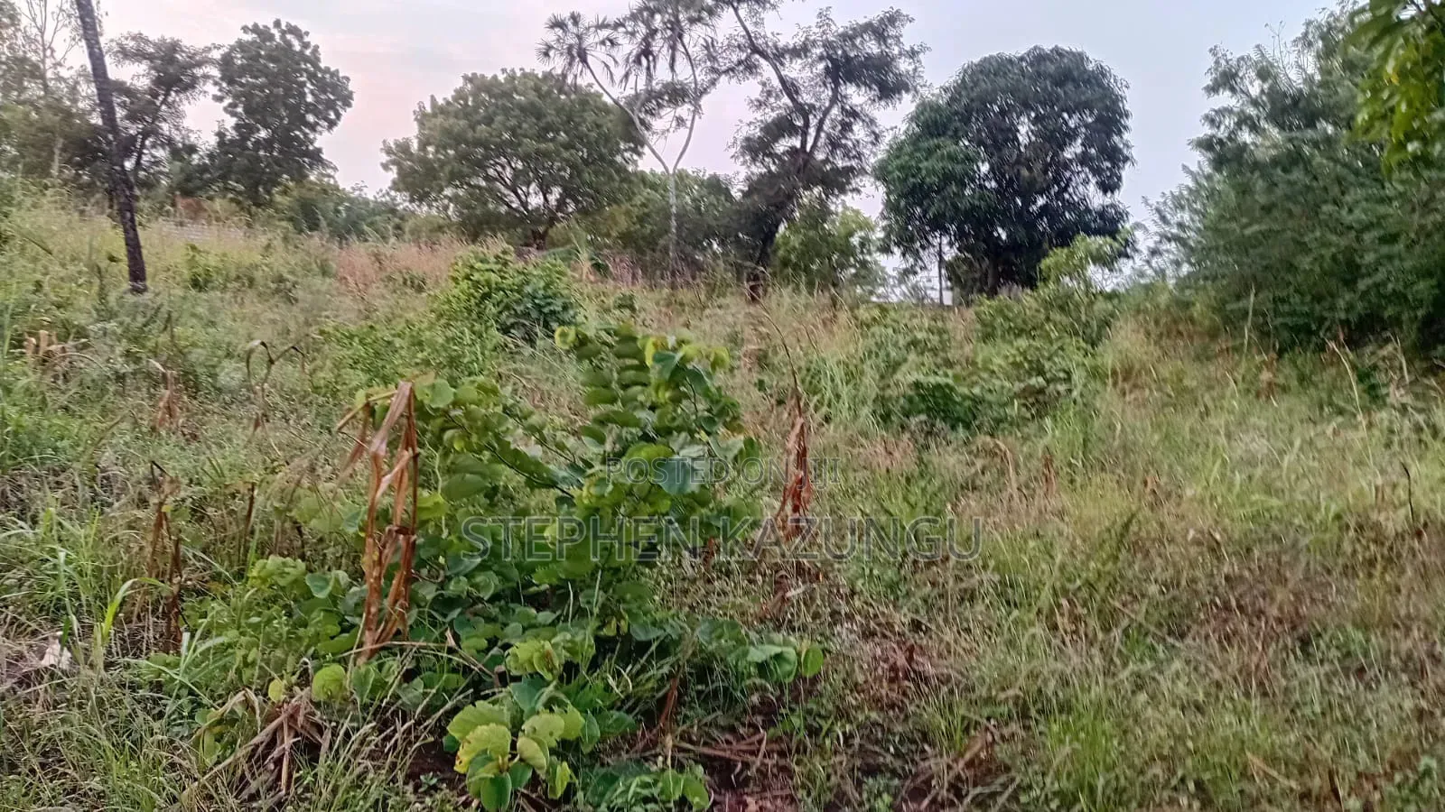 Nice 3/4 Acre Size Plot on Beach Side of Mwabungo at Mtendegwa Area.