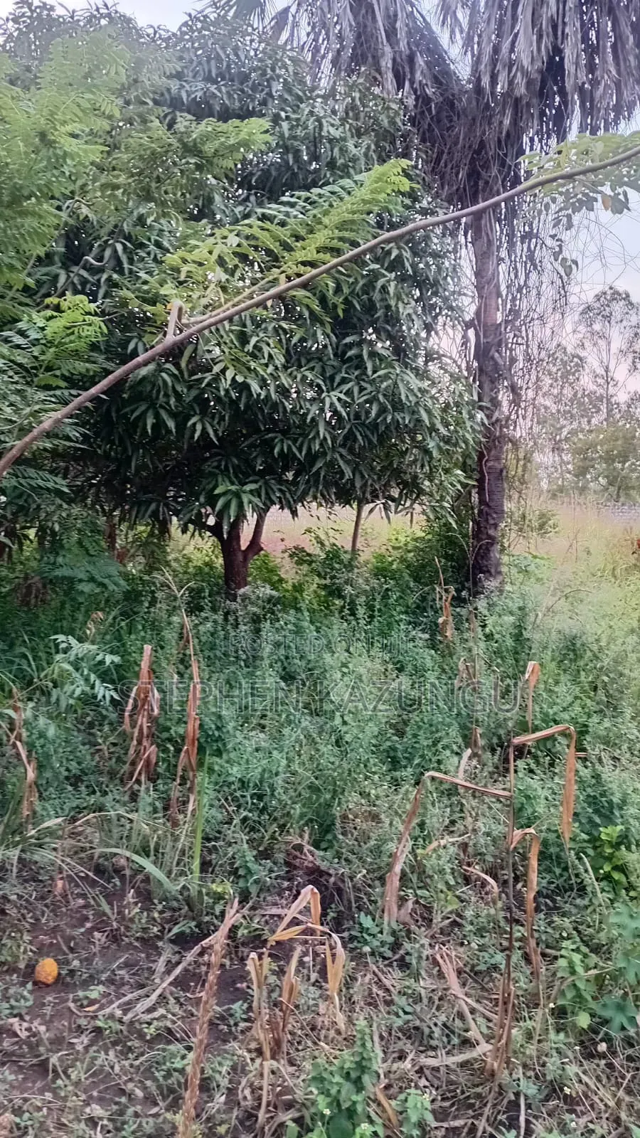 Nice 3/4 Acre Size Plot on Beach Side of Mwabungo at Mtendegwa Area.