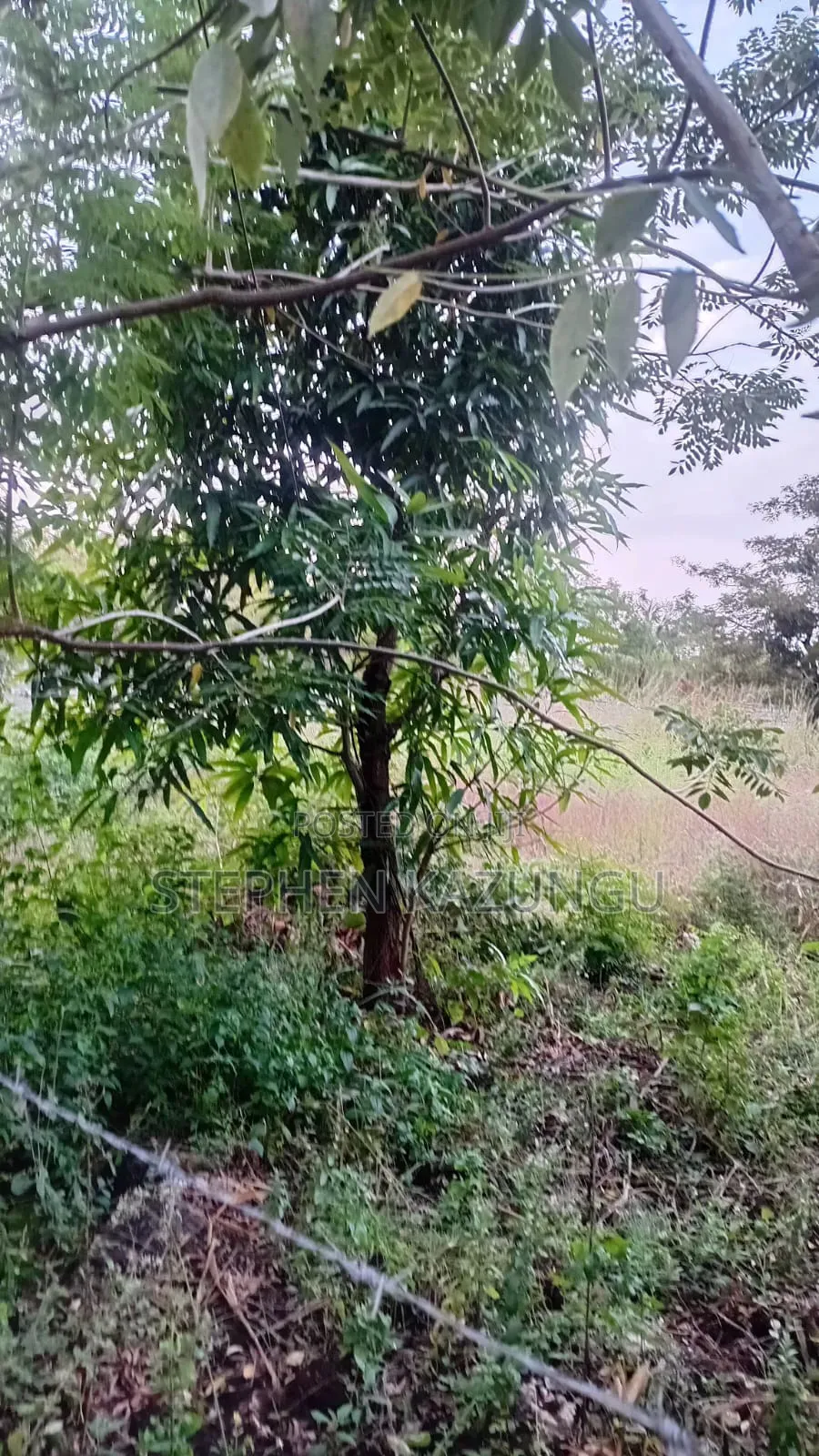 Nice 3/4 Acre Size Plot on Beach Side of Mwabungo at Mtendegwa Area.